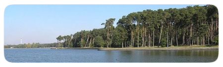 [Rozmiar: 91981 bajtów]